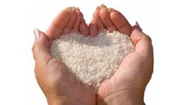 दान-पुण्य का पर्व मकर संक्रांति दान-पुण्य का पर्व मकर संक्रांति