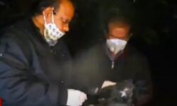 मृत कौवों का मिलना मुजफ्फरनगर में बर्ड फ्लू की दस्तक की आहट तो नहीं? मृत कौवों का मिलना मुजफ्फरनगर में बर्ड फ्लू की दस्तक की आहट तो नहीं?