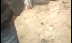 मानवता हुई शर्मसार- विधवा की इज्जत तार-तार मानवता हुई शर्मसार- विधवा की इज्जत तार-तार