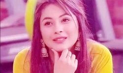 शहनाज गिल को चाहिए सिद्धार्थ शुक्ला शहनाज गिल को चाहिए सिद्धार्थ शुक्ला