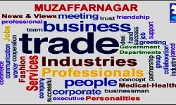 सृजन डायरेक्ट्री मोबाइल एप अब टैस्ट लॉच पर उपलब्ध सृजन डायरेक्ट्री मोबाइल एप अब टैस्ट लॉच पर उपलब्ध