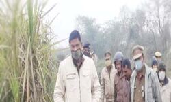 गन्ने के खेत में मिला सुनीता का शव