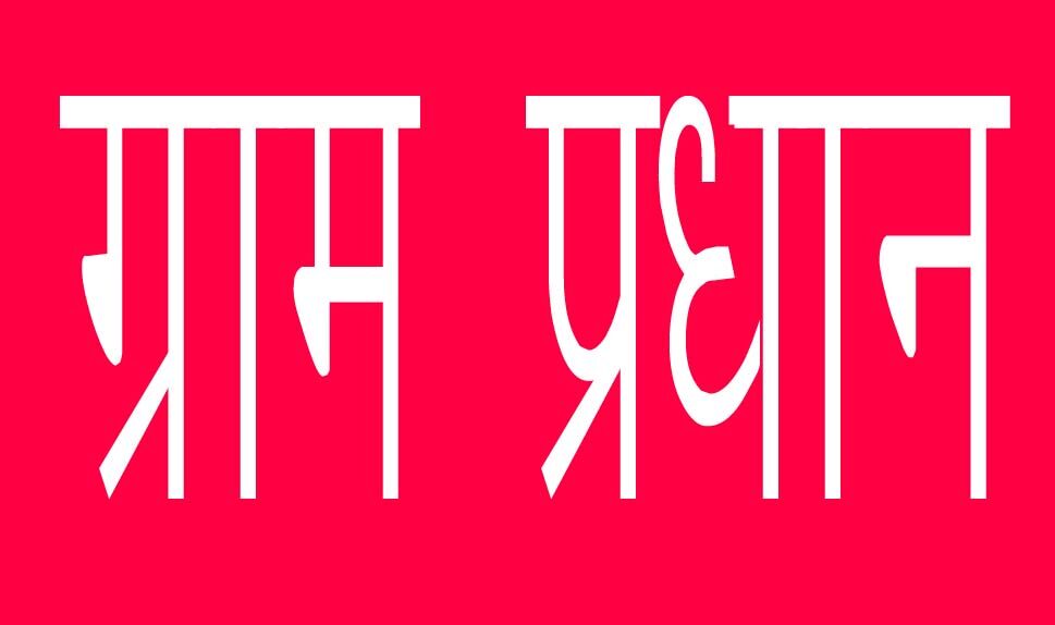 इस बार इस जनपद में चुने जायेंगे 1740 ग्राम प्रधान