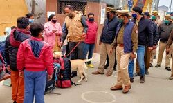 डॉग स्क्वायड के साथ पुलिस ने शहर में की जांच पड़ताल डॉग स्क्वायड के साथ पुलिस ने शहर में की जांच पड़ताल