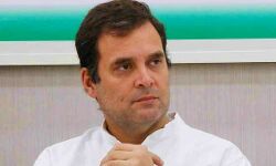 हिंसा किसी समस्या का हल नहीं : राहुल हिंसा किसी समस्या का हल नहीं : राहुल