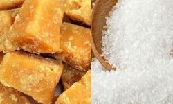 मुजफ्फरनगर: मंडी में गुड़ और चीनी के भाव