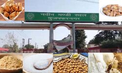 मंडी में गुड़ और चीनी के भाव