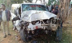 वाहन पेड़ से टकराने से नौ मरे, 13 घायल वाहन पेड़ से टकराने से नौ मरे, 13 घायल