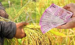 बजट: किसानों के लिए ऋण राशि में वृद्धि बजट: किसानों के लिए ऋण राशि में वृद्धि