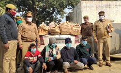 पुलिस के लंबे हाथ- लाखों के गांजे की खेप के साथ चार गिरफ्तार