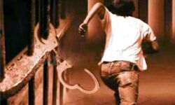 सेंट्रल जेल से भागा सजायाफ्ता कैदी