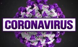 यूपी में एक्टिव कोविड केस 469, नौ जिले कोरोना मुक्त यूपी में एक्टिव कोविड केस 469, नौ जिले कोरोना मुक्त