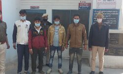 टाटा 407 में ठूंस-ठूंस कर भरे पशु बरामद टाटा 407 में ठूंस-ठूंस कर भरे पशु बरामद