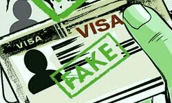 फर्जी वीजा देने वालो के खिलाफ मुकदमा दर्ज फर्जी वीजा देने वालो के खिलाफ मुकदमा दर्ज
