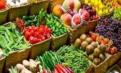 सब्जी व फलों का होगा निर्यात- संस्था को मिला लाइसेंस