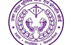 अभ्यर्थी गर्भवती थी, शारीरिक दक्षता परीक्षा कराने का निर्देश क्यों न दिया जाये