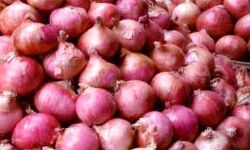 झटके पर झटका-और अब प्याज की महंगाई ने निकाले आंसू झटके पर झटका-और अब प्याज की महंगाई ने निकाले आंसू