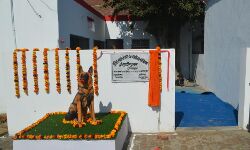 अब एएसपी क्यूटीक्स-टिंकी की प्रतिमा दिलाएगी बड़े-बड़े कारनामों की याद अब एएसपी क्यूटीक्स-टिंकी की प्रतिमा दिलाएगी बड़े-बड़े कारनामों की याद