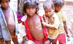 अभिभावक- प्रशासन हो अलर्ट तो बदल सकती है भीख मांगने वाले बच्चों की किस्मत अभिभावक- प्रशासन हो अलर्ट तो बदल सकती है भीख मांगने वाले बच्चों की किस्मत