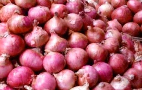 झटके पर झटका-और अब प्याज की महंगाई ने निकाले आंसू झटके पर झटका-और अब प्याज की महंगाई ने निकाले आंसू