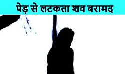 पेड़ से लटका मिला शव पेड़ से लटका मिला शव