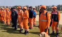 ग्लेशियर हादसाः गाजियाबाद से NDRF की दो टीमें रवाना