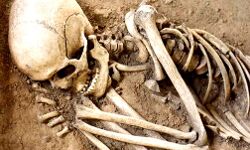 पुलिस चौकी के पास मिला नरकंकाल पुलिस चौकी के पास मिला नरकंकाल