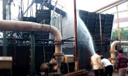 गन्ना आपूर्ति ठप होने से 9 फरवरी को बन्द हो जायेगी चीनी मिल