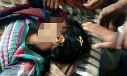 और पेड़ के गिरते ही उड़ गए महिला के प्राण पखेरू और पेड़ के गिरते ही उड़ गए महिला के प्राण पखेरू