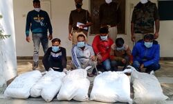 जीरो ड्रग्स अभियान-6 लाख के गांजे के साथ पांच गिरफ्तार जीरो ड्रग्स अभियान-6 लाख के गांजे के साथ पांच गिरफ्तार