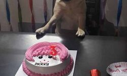 TRUMP की सुरक्षा में तैनात रही डिक्की का मनाया बर्थडे