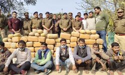 ढाई करोड़ का हाई क्वालिटी गांजा बरामद- आठ अरेस्ट- नक्लसी क्षेत्र से आई बड़ी खेप ढाई करोड़ का हाई क्वालिटी गांजा बरामद- आठ अरेस्ट- नक्लसी क्षेत्र से आई बड़ी खेप