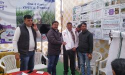 चाय पर चर्चा- किसानों को मिलें बेहतर उत्पादन के गुर चाय पर चर्चा- किसानों को मिलें बेहतर उत्पादन के गुर