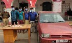 झाड़ियों के पीछे बना रहे थे लूट की योजना- अचानक आ गई पुलिस झाड़ियों के पीछे बना रहे थे लूट की योजना- अचानक आ गई पुलिस