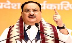 किसान आंदोलन- नड्डा के घर रात में बिछेंगी यूपी-हरियाणा की गोटियां किसान आंदोलन- नड्डा के घर रात में बिछेंगी यूपी-हरियाणा की गोटियां