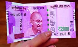 7 जिलों की दिव्यांग छात्राओं को 2 हजार रूपया मिलेंगे