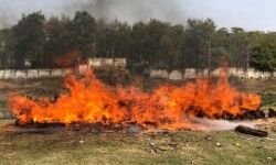 उन्नाव में बुआ भतीजी का किया गया अंतिम संस्कार उन्नाव में बुआ भतीजी का किया गया अंतिम संस्कार