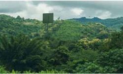 अब होगी बिना तारों के बिजली सप्लाई अब होगी बिना तारों के बिजली सप्लाई