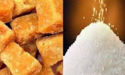 गुड़ और चीनी के ताजा भाव गुड़ और चीनी के ताजा भाव
