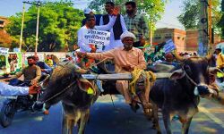 कृषि कानूनों के खिलाफ सड़कों पर उतरे कांग्रेसी कृषि कानूनों के खिलाफ सड़कों पर उतरे कांग्रेसी