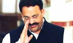 UP सरकार ने SC से कहा- MLA मुख्तार अंसारी की सुरक्षा सुनिश्चित करने के लिए प्रतिबद्ध UP सरकार ने SC से कहा- MLA मुख्तार अंसारी की सुरक्षा सुनिश्चित करने के लिए प्रतिबद्ध