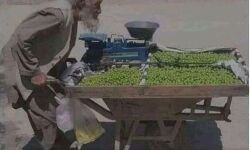 हाय! कैसी औलाद- वृद्ध कैसे उठायें जिंदगी का बोझ हाय! कैसी औलाद- वृद्ध कैसे उठायें जिंदगी का बोझ