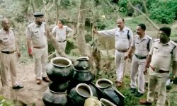 आबकारी विभाग ने महुआ लाहन और देशी शराब की जब्त