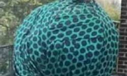 प्रियंका चोपड़ा की ड्रेस बना मजाक- शेयर किए मीम्स