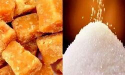 मुजफ्फरनगर मंडी में गुड़ और चीनी के भाव मुजफ्फरनगर मंडी में गुड़ और चीनी के भाव