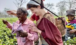 चाय बागान का श्रम देश के लिए बहुमूल्य- प्रियंका गांधी