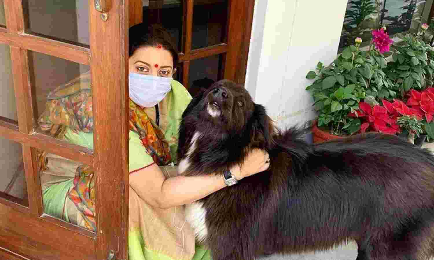 साडा कुत्ता टाॅमी नहीं, शेरू है- फोटो वायरल