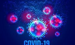 15 जिले कोरोना मुक्त - राज्य में कुल एक्टिव केस 446 15 जिले कोरोना मुक्त - राज्य में कुल एक्टिव केस 446