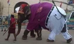 जींस-शर्ट पहनकर भ्रमण पर निकले महाबली- बीच सड़क फटी पतलून