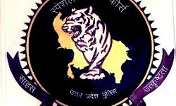 पुलिस और एसटीएफ ने गिरफ्तार किया ईनामी गांजा तस्कर